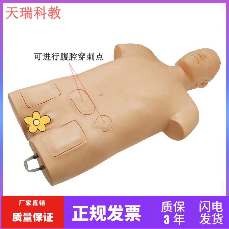 腹腔穿刺模型 腹部穿刺模拟人 腹部移动性浊音叩诊训练模型医学用