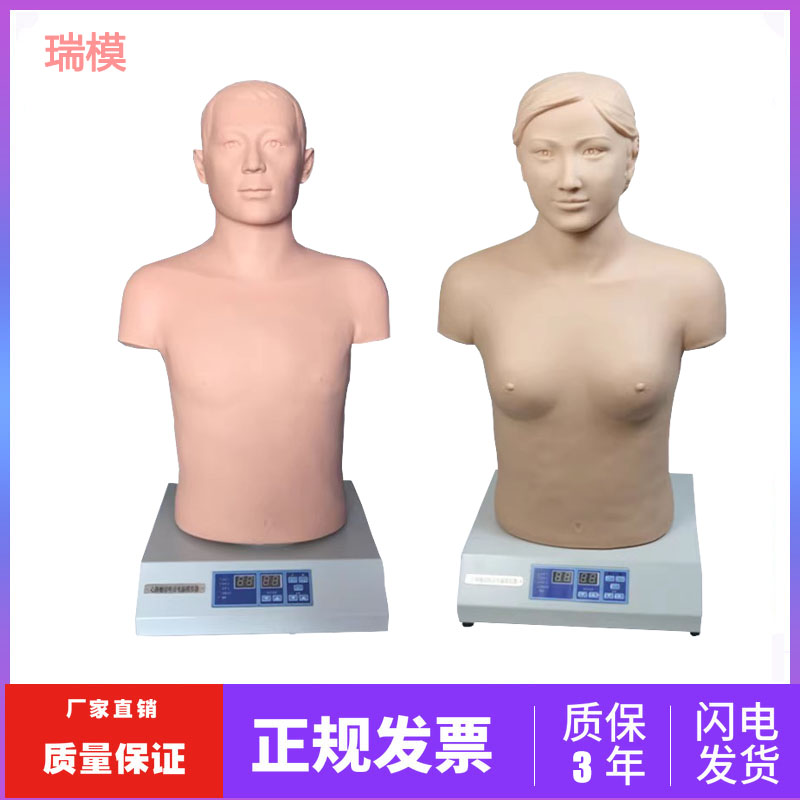 心肺听诊模拟人模型医学用教学