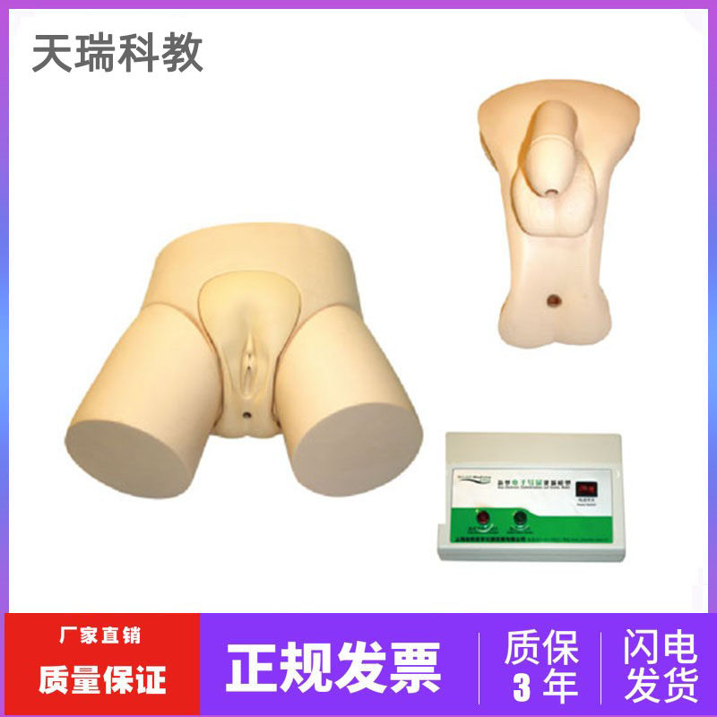 电子导尿模型 男女性导尿灌肠教学实习训练模型 灌肠操作教学模型