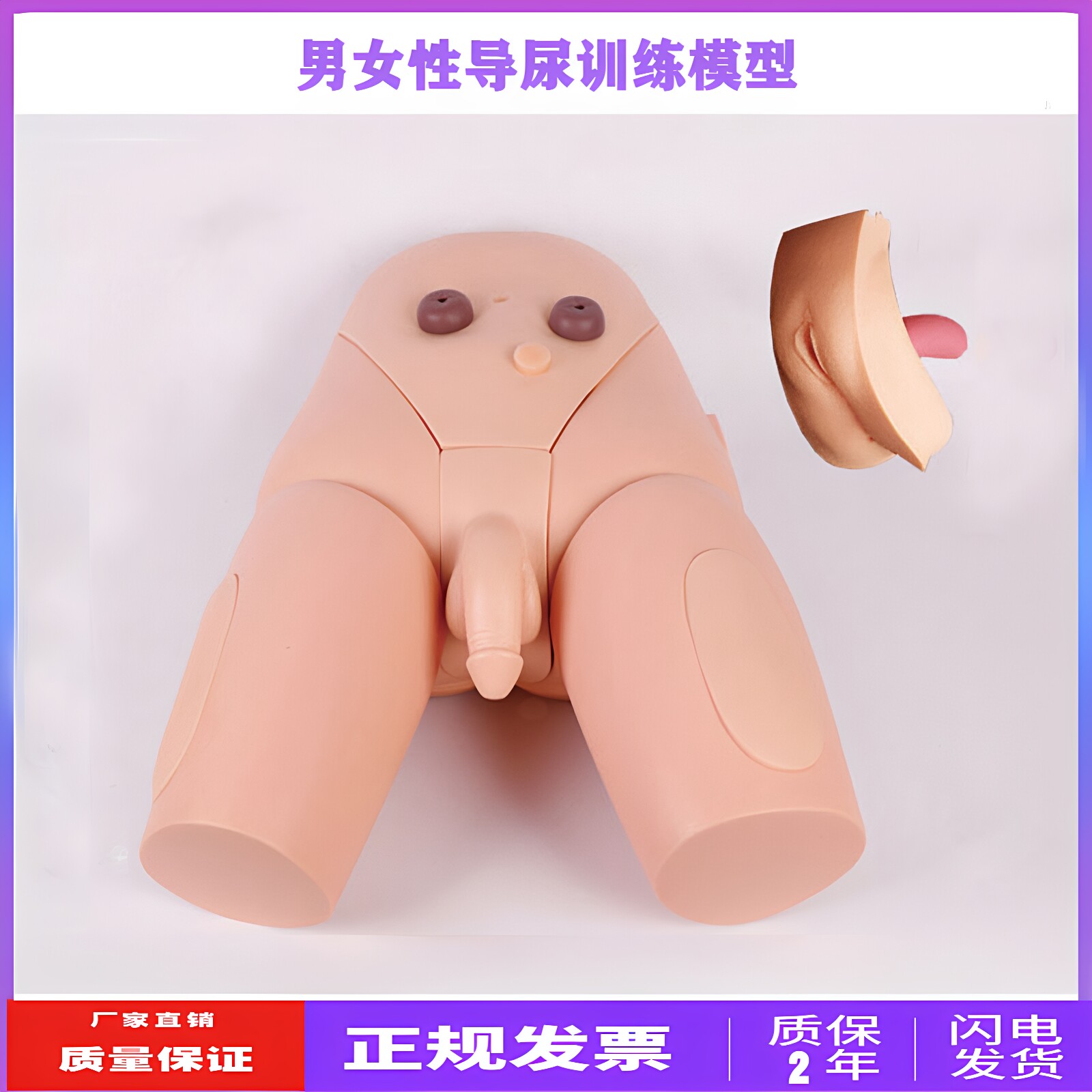导尿模型男性女性医学用教学