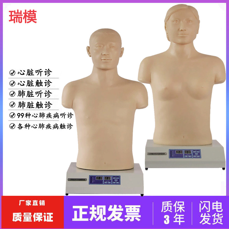 心肺听诊模拟人模型医学用教学
