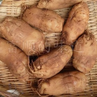 四川自贡内江特产农家大头菜芥菜疙瘩腌制原味农家自制下饭菜泡菜