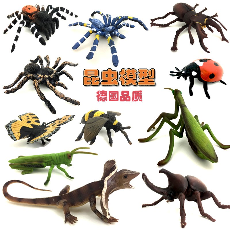 ºûµûòßòÑ
