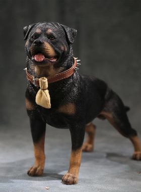 【Mr.Z】1/6仿真罗威纳犬模型 警犬动物树脂摆件办公室桌面狗饰品
