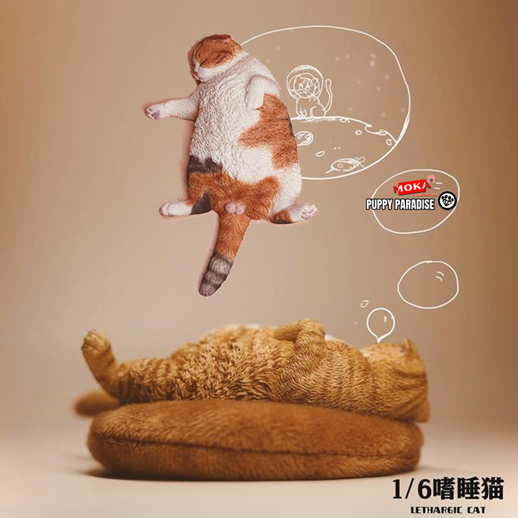 JXK嗜睡猫猫咪模型治愈系摆件