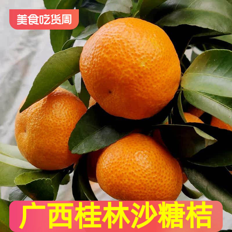 广西桂林砂糖橘新鲜水果5斤正宗沙糖桔整箱桔子现摘10斤小橘子,水产肉类/新鲜蔬果/熟食,桔子,淘宝优惠券,粉丝福利购,淘宝优惠卷