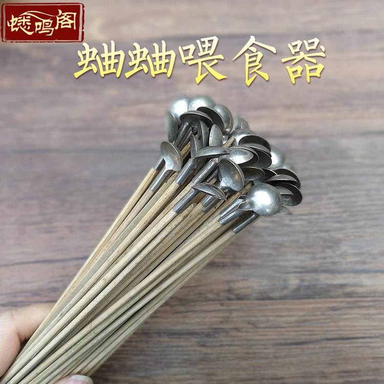 蟋鸣阁勺子铲子蛐蛐蝈蝈用喂食