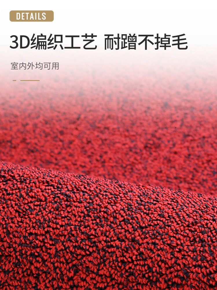 入户门地垫红色喜庆进门地毯玄关脚垫家用大门口简约纯色室外新款