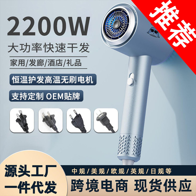 网红新款护发电吹风家用负离子