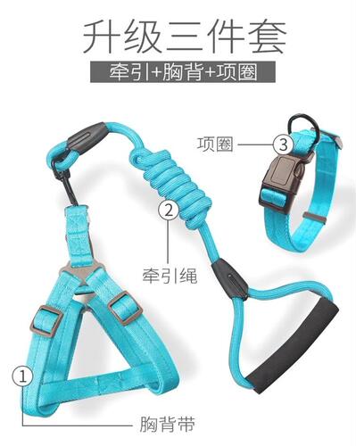 harness collar dog chain walk dog leash durable scottish