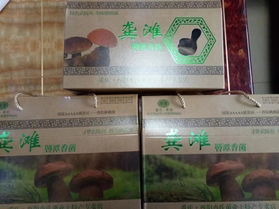 重庆酉阳土家特产龚滩古镇干香菌350g食用蘑菇小香菇