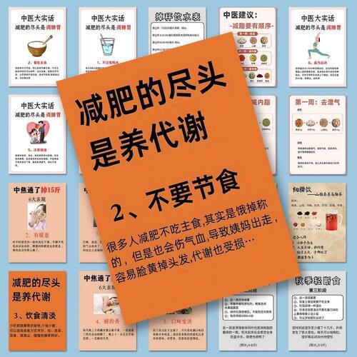 中医健康养生减肥贴纸学生手帐1