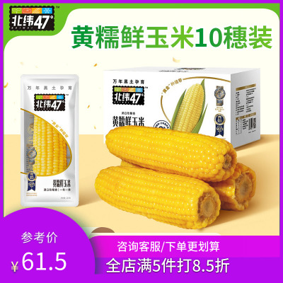 北纬47度黄糯鲜玉米200g10穗装黄糯玉米新鲜黏玉米棒粗粮轻食代餐