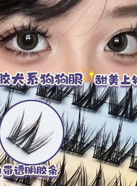 无辜幼态楚楚动人！免胶犬系假睫毛懒人三部曲眼睫毛自然仿真睫毛