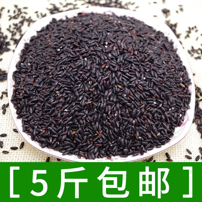 东北特产新货优质黑米500g