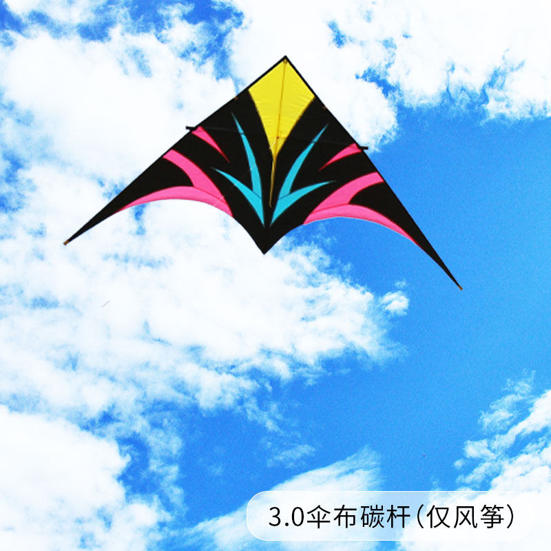 基林2平3平伞布碳杆风筝三角造型彩色图案微风易飞成人专用