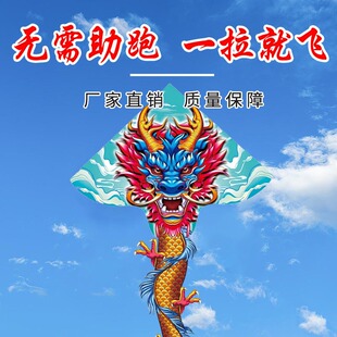 龙风筝2025年新款潍坊风筝中国国潮大人专用儿童微风易飞龙形飞龙