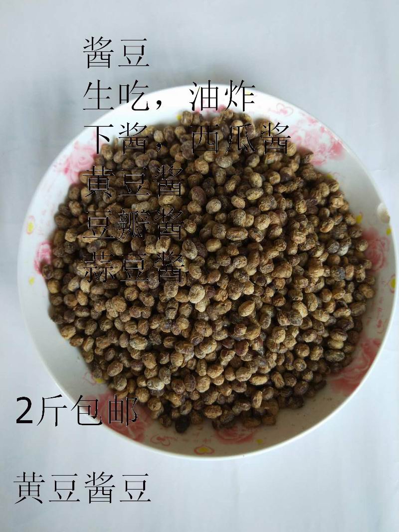 濮阳张大姐黄非油炸豆豉臭豆豉干农家自制酱豆颗粒2斤干豆豉包邮