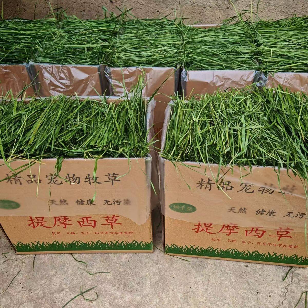 26年新优质提摩西草干草代替兔粮苜蓿草兔子龙猫提草粮箱子装