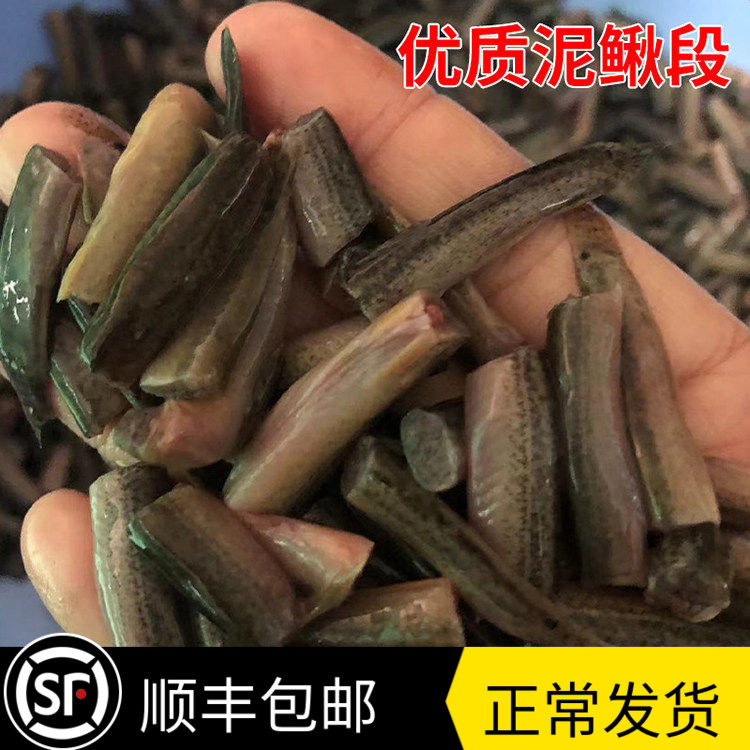 冷冻冰冻泥鳅段去粘液冻泥鳅小河虾鱼食虾段速冻小鱼淡水