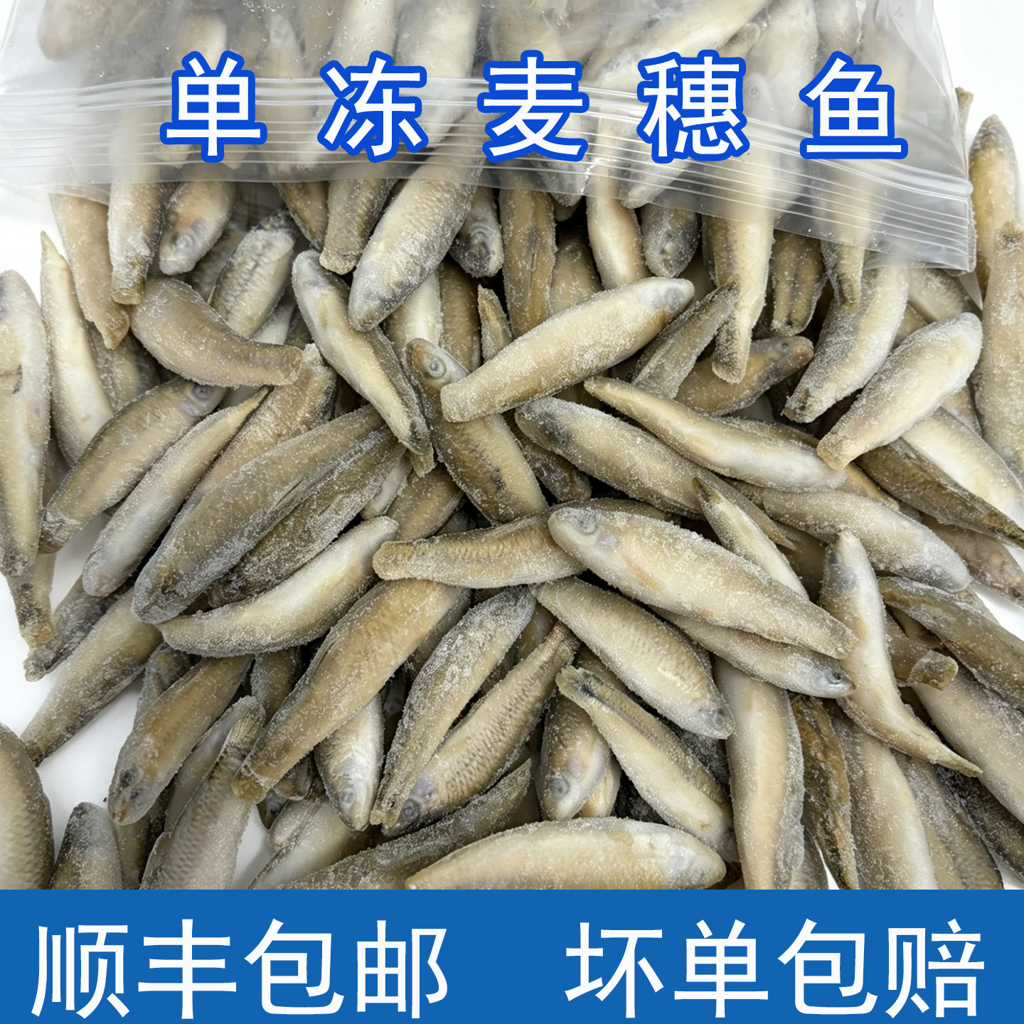冷冻小鱼喂鱼饲料鱼单冻新鲜小白条鱼龙鱼鱼食麦穗鱼喂龟丁鱼