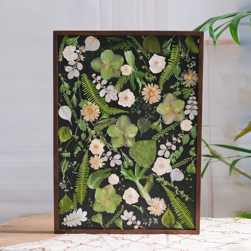 野地花园植物标本田园押花装饰画