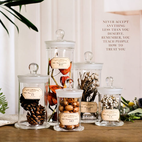 现代创意复古植物标本中药中草药材科普样板书房陈列饰品玻璃瓶 - 封面