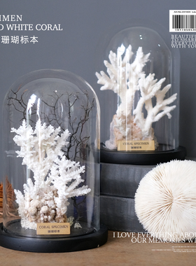 天然珊瑚摆件标本微景现代轻奢