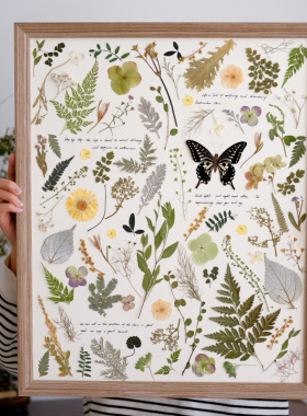 押花压花植物标本花卉装饰画蝴蝶标本咖啡馆书店创意个性节日礼物