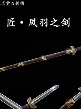 新疆包邮凤羽之剑龙泉收