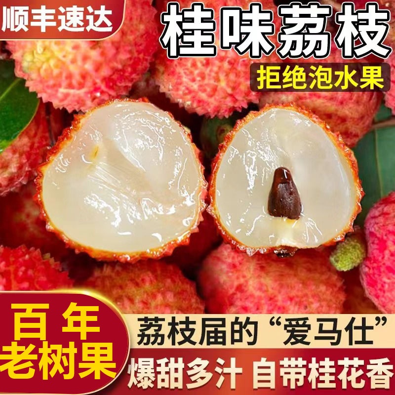 荔枝现摘新鲜桂味顺丰冷链空运新鲜应季水果荔枝水果礼盒