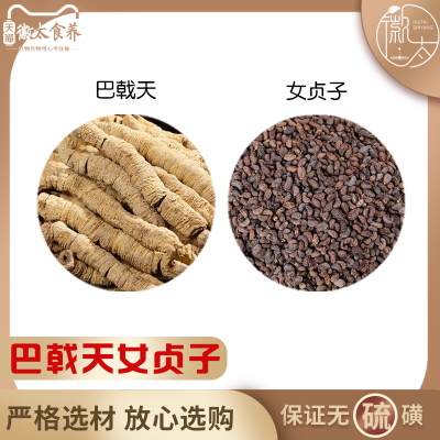巴戟天和女贞子组合中药材加
