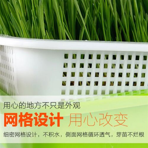 豆芽发芽盆水培蔬菜豌豆芽苗菜种植设备家用无土栽培神器育苗托盘