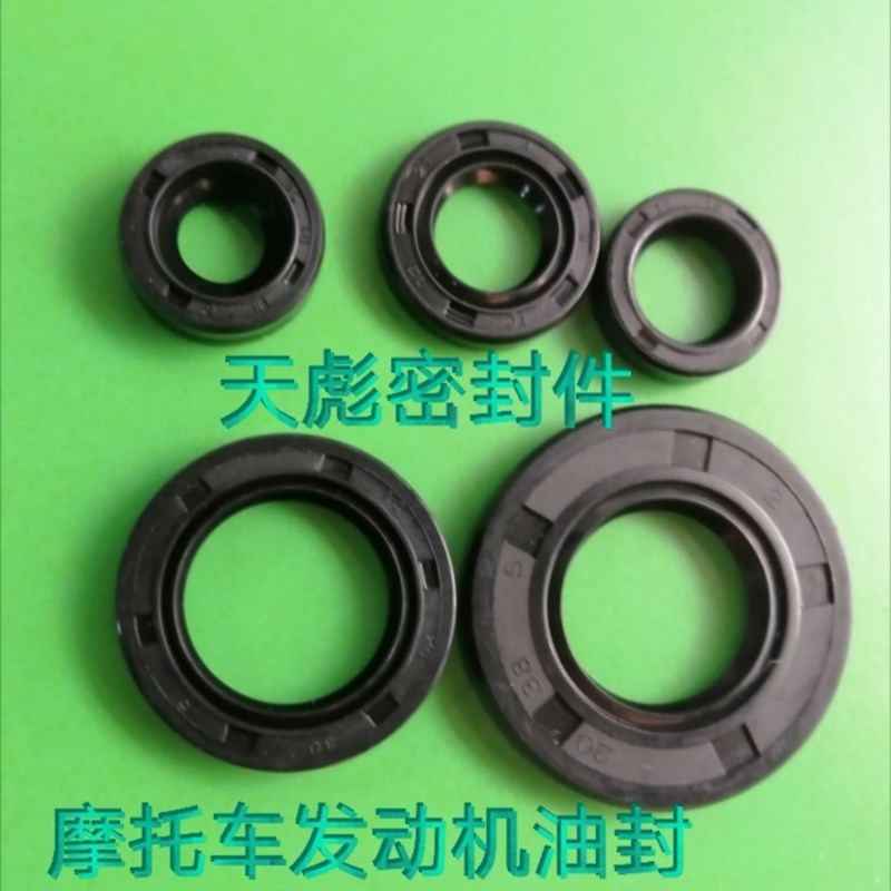 摩托车雅马哈/天剑125/天戟/YBR125/天琪全车油封 发动机密封件