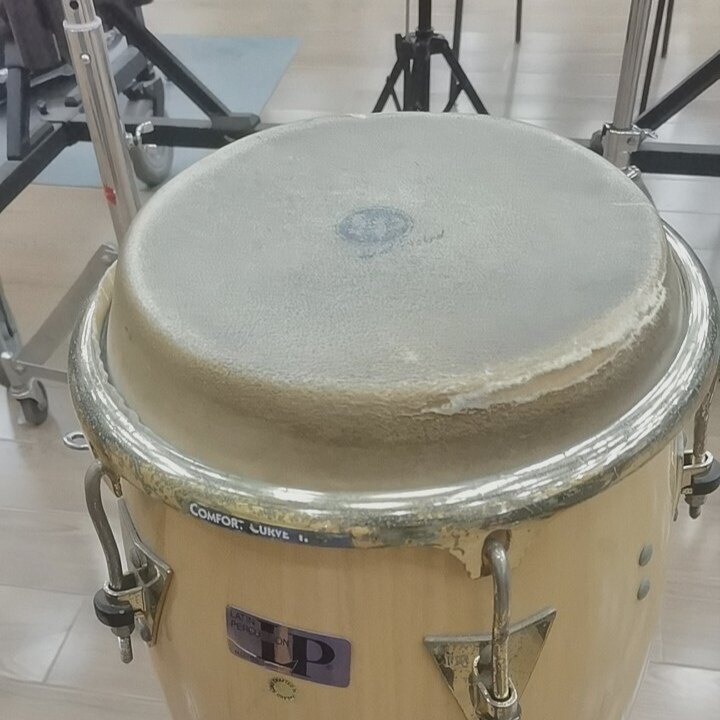 LP邦戈鼓皮一个进口牛皮