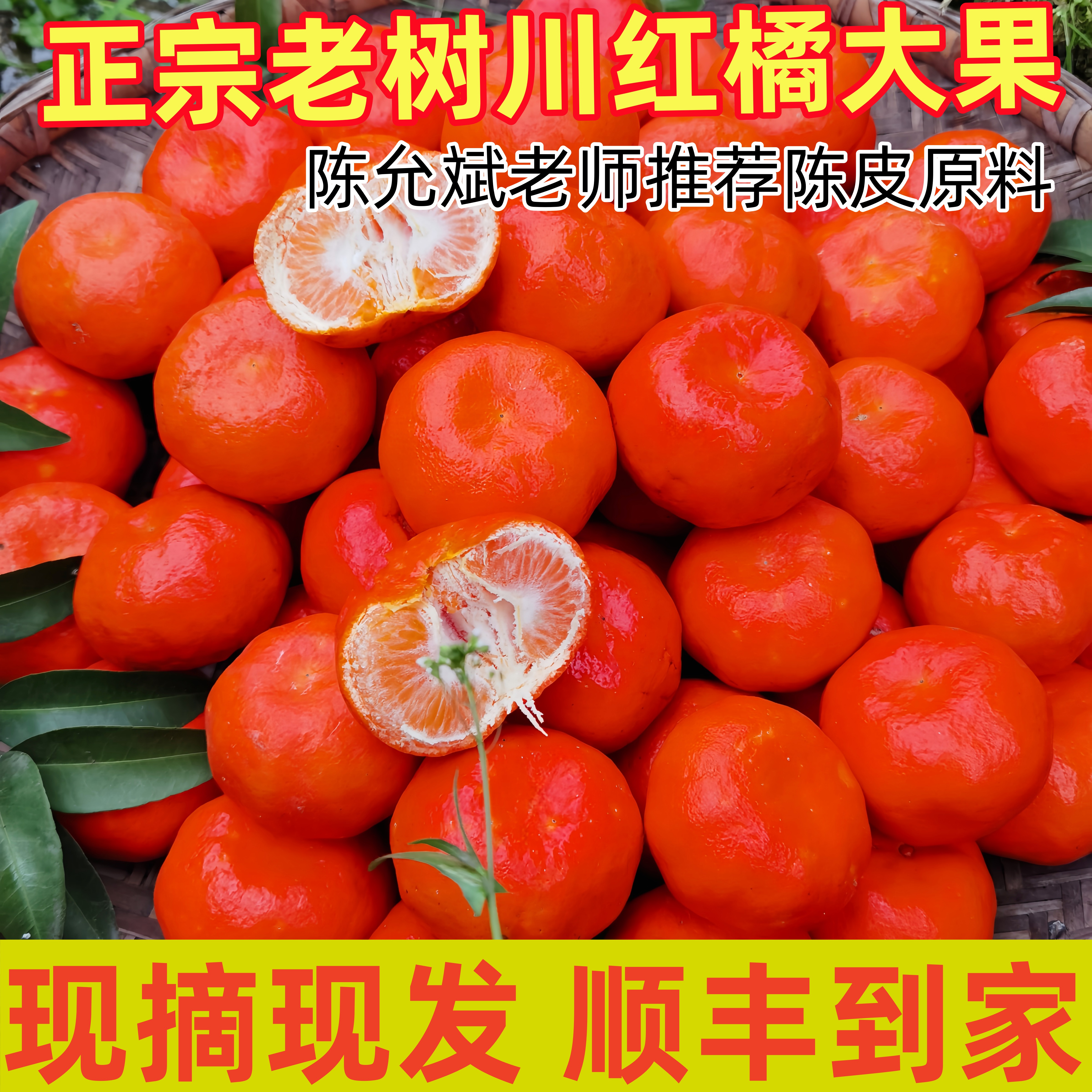 四川红橘万州古红桔新鲜水果