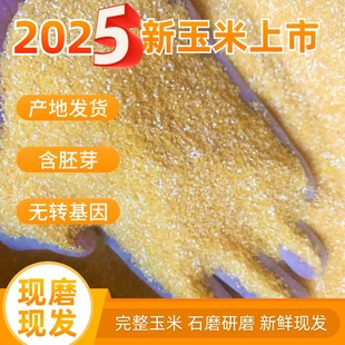 山东农家现磨2024新玉米糁特细苞米碴子碎棒子渣五谷杂粮面粉养生