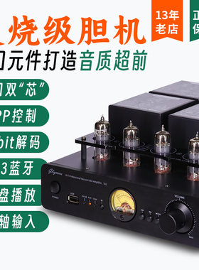 英国5.3蓝牙硬盘无损发烧胆机