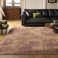 Carpet living room 2026 New style French retro sofa, coffee table, floor mat, home green maintenance-free thickened bedside blanket thumbnail 2