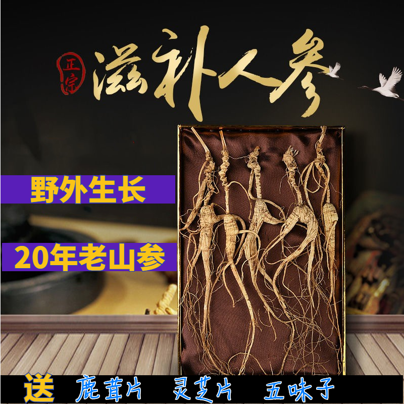 ginseng Changbai Wild ginseng Northeast Forest Senate 20 Paojiu Wild ginseng wild ginseng Gift box dried food Pruningin the Traditional nourishing food , Ginseng tonic , Wild ginseng  category - from Buy2taobao.com to provide professional Taobao agent buy service