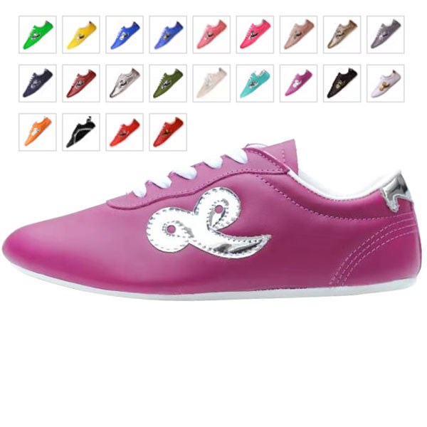 武道世家BUDOSAGA专业牛皮武术鞋