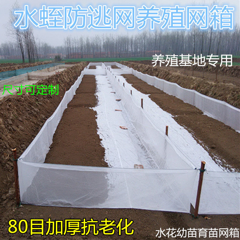 80目水蛭网箱蚂蝗养殖网加养虾防逃边养殖网渔网孵化网箱加厚加密