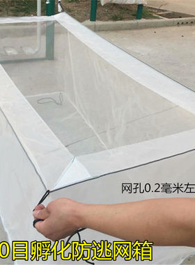 渔网网网箱养殖孵化育苗目鱼苗水花养鱼尼龙100产卵