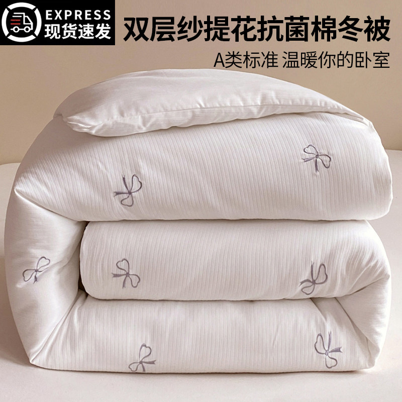 双层纱被子被芯200x230cm棉冬被图片