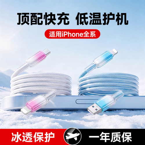 苹果PD30W双Type-C编织快充线