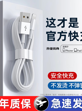 【极客小K/特惠】数据线适用苹果iPhone/iPad14/1312/11pro/7plus6s/8p/Xr快充手机充电器加长头平板2米快充