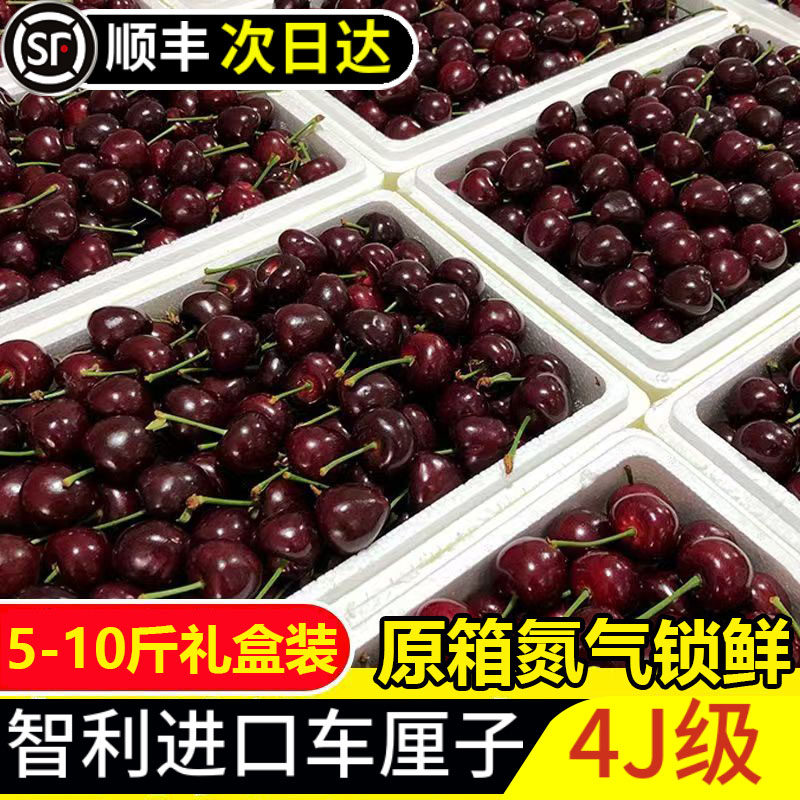 智利车厘子进口santina黑珍珠大樱桃新鲜水果5-10斤原箱礼盒顺丰,水产肉类/新鲜蔬果/熟食,车厘子/樱桃,淘宝优惠券,粉丝福利购,淘宝优惠卷