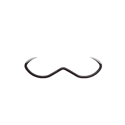 威武飞鱼无倒刺江河胡泊中国