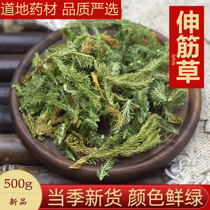 野生伸筋草中药材正品舒筋草