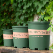 环球加仑盆特大号加厚树脂塑料阳台多肉绿萝月季 花盆圆形底托